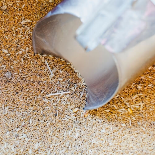 Premium cattle feed ready for export – Begs International import export company