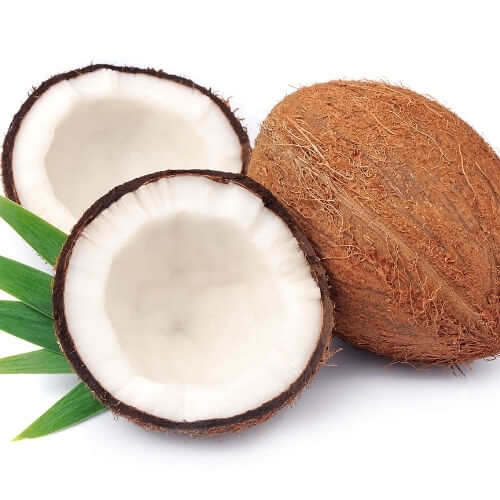 Fresh coconuts ready for export – Begs International import export company