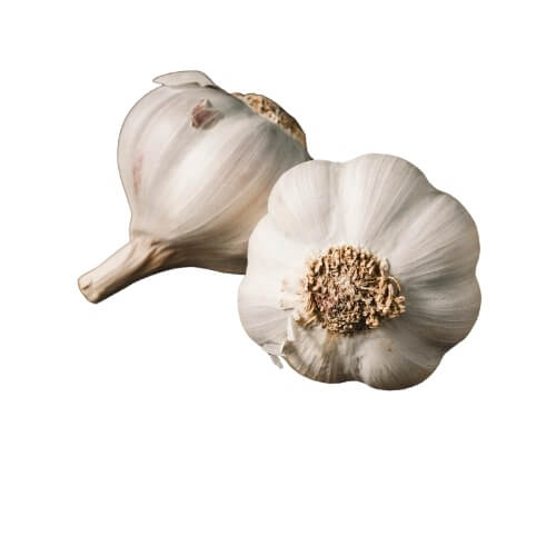 Fresh garlic bulbs ready for export – Begs International import export company