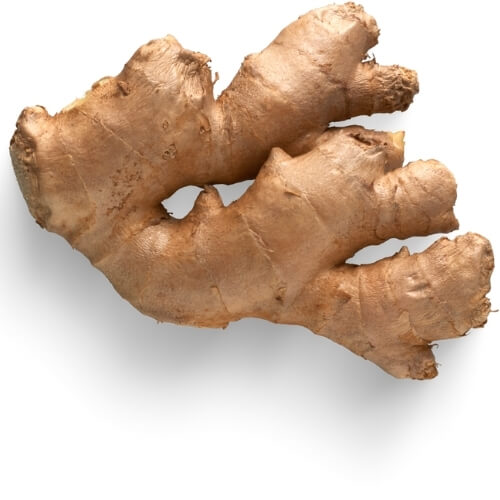 Fresh ginger roots ready for export – Begs International import export company