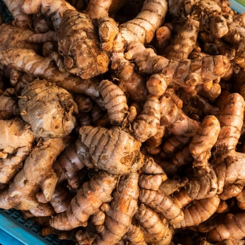 Fresh turmeric roots ready for export – Begs International import export company