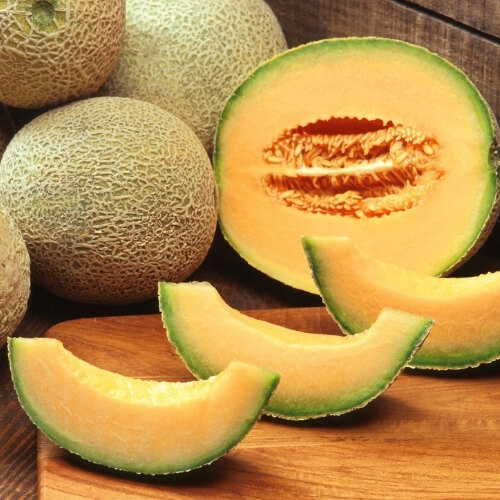 Fresh muskmelons ready for export – Begs International import export company