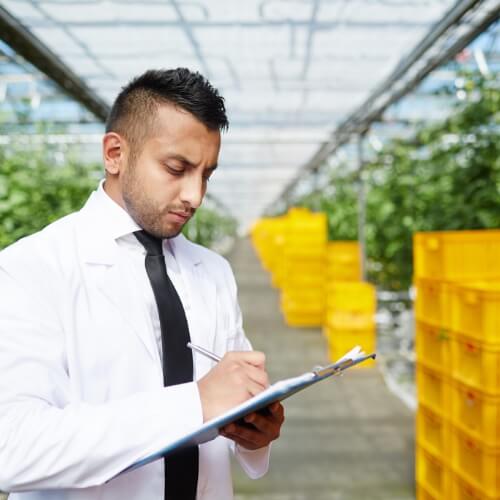 Fresh produce sourcing from farms