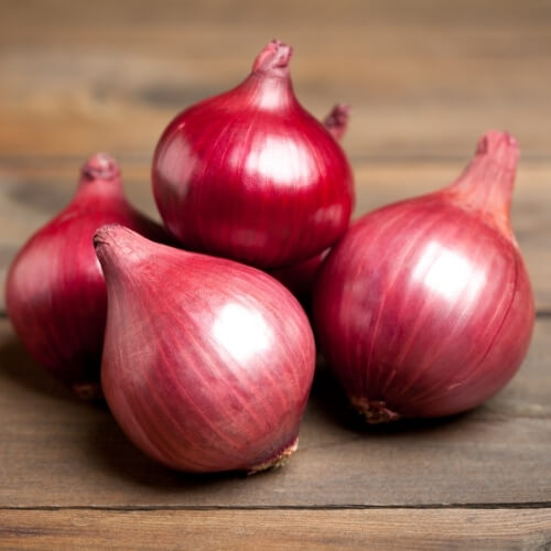 Fresh onions ready for export – Begs International import export company