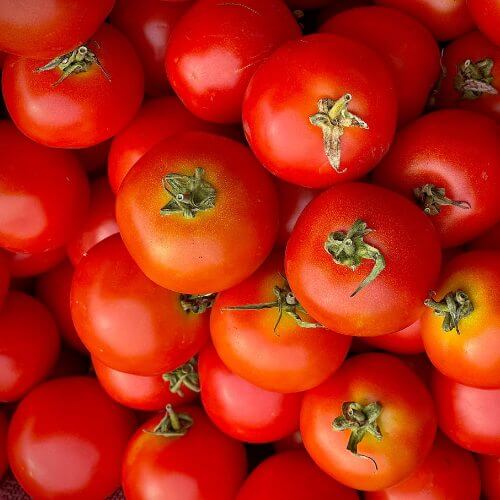 begs international tomatos exporter