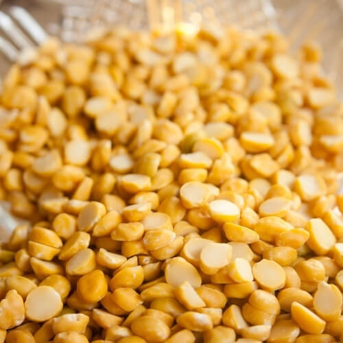 Premium chana daal ready for export – Begs International import export company