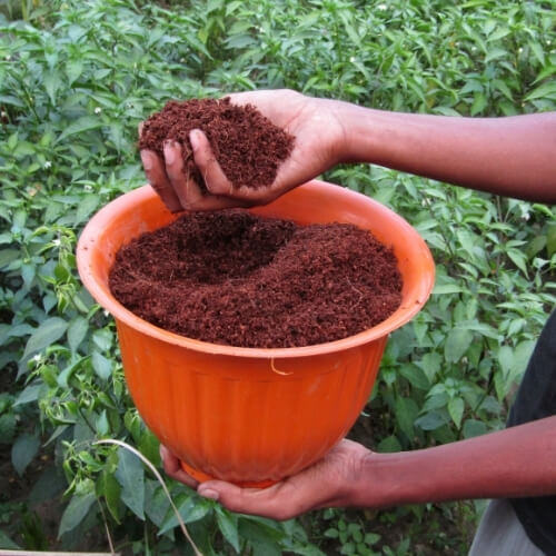 Premium cocopeat ready for export – Begs International import export company