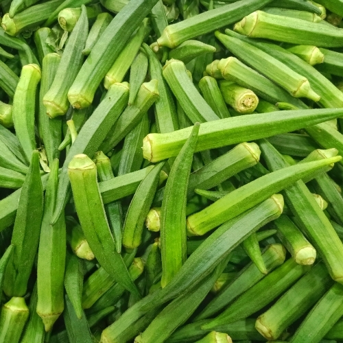 Fresh okra (lady finger) ready for export – Begs International import export company