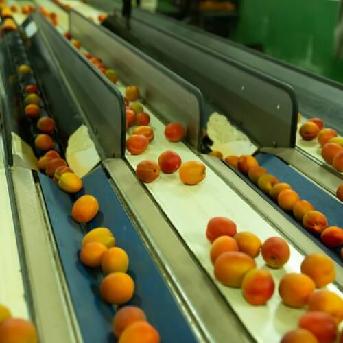 Protective packaging and pre-cooling